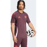 2024-2025 Bayern Munich Training Shirt (Shadow Maroon)