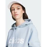 Essentials Linear Hoodie