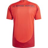 Adidas - Fc Bayern Munich Authentic 24/25 - Sportshirt - Rood - Katoen