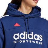 adidas - House Of Tiro Nations - Hoodie - Fleece - Zwart
