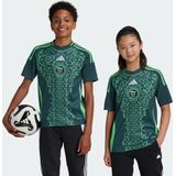 adidas Performance Algerije Uitshirt Kids - Kinderen - Groen- 140
