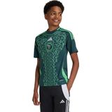 adidas Performance Algerije Uitshirt Kids - Kinderen - Groen- 140