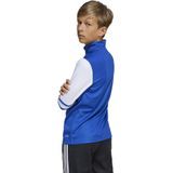 adidas - Squadra 25 - Trainingstrui - Blauw Wit - 100% Gerecycled Polyester
