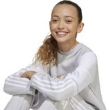 Adidas - Squadra 25 - Sweatshirt - Geen Kleur - 70% Katoen, 30% Polyester (Gerecycled)