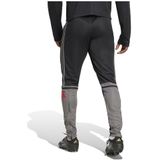adidas Heren SQUADRA25 TRAINING PANT - Black/Team Grey Four/Pure Ruby