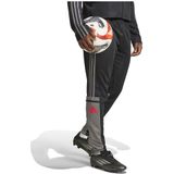 adidas Heren SQUADRA25 TRAINING PANT - Black/Team Grey Four/Pure Ruby