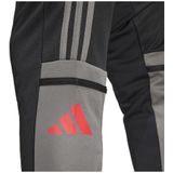 adidas Heren SQUADRA25 TRAINING PANT - Black/Team Grey Four/Pure Ruby