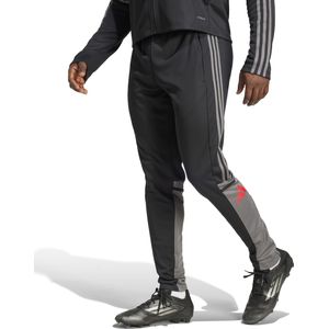 adidas Heren SQUADRA25 TRAINING PANT - Black/Team Grey Four/Pure Ruby