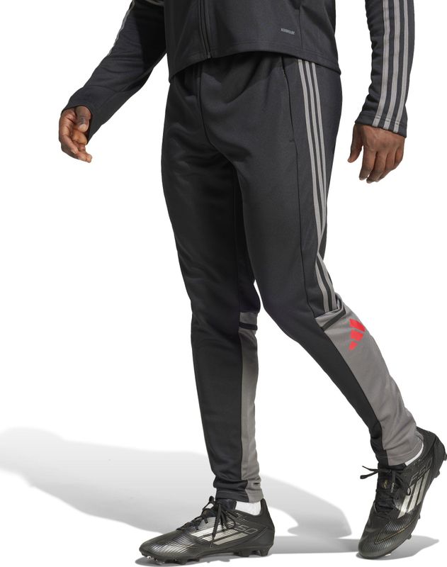 adidas Heren SQUADRA25 TRAINING PANT - Black/Team Grey Four/Pure Ruby