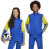 adidas - SQUADRA25 - Jack - Team Royal Blue/Team Yellow - Uniseks Kind