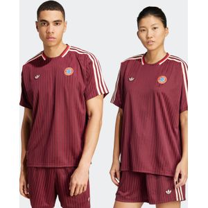 adidas - FC Bayern Terrace Icons - Jersey - Rood