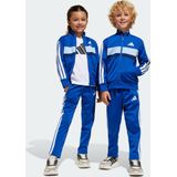 adidas - Trainingspak - Zwart - 100% Gerecycled Polyester