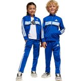 adidas - Trainingspak - Zwart - 100% Gerecycled Polyester
