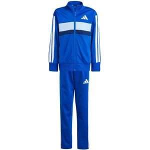adidas - Trainingspak - Zwart - Polyester - CLIMACOOL