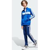 adidas - Trainingspak - Kleurblokken - 100% Polyester - CLIMACOOL