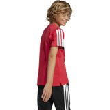 adidas - Seasonal Essentials Tiberio - T-shirt - Korte Mouwen