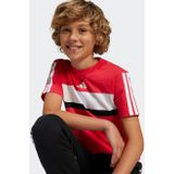 adidas - Seasonal Essentials Tiberio - T-shirt - Korte Mouwen