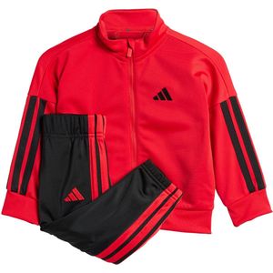 Trainingspak - Pure Ruby / Black - 100% Polyester - Regular Pasvorm