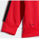 Trainingspak - Pure Ruby / Black - 100% Polyester - Regular Pasvorm