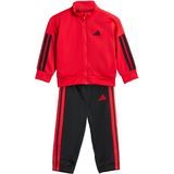 Trainingspak - Pure Ruby / Black - 100% Polyester - Regular Pasvorm
