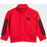 Trainingspak - Pure Ruby / Black - 100% Polyester - Regular Pasvorm