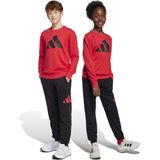 Geribd Ceintuurtje - Sweatstof - Logoprint - 2-delig