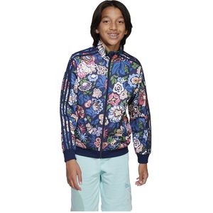 Adidas trainingspakken Kinder maat 134 kopen? ✔️ Tot 53% korting