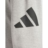 adidas - Sportbroek - Zwart - Katoen/Polyester - Normale Pasvorm