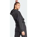 adidas Sportswear Essentials Big Logo French Terry Loose Hoodie - Dames - Zwart