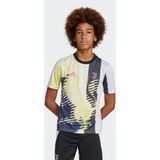 adidas - Juventus Warming-Up Shirt - Zwart - Polyester - Gerecycled