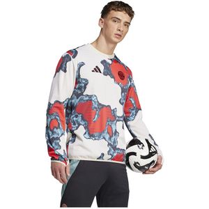 Prematch shirt Bayern Munich 2024/25