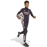 adidas - Arsenal Trainingstrui - Donkerpaars Beige - 100% Gerecycled Polyester