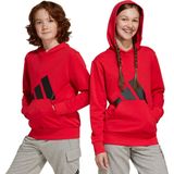 adidas Sportswear Kapuzensweatshirt "J BL FT HD 280"