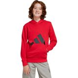 adidas - Hoodie - Blauw - Katoen/Polyester - Capuchon, Kangoeroezak