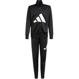 adidas - Trainingspak - Zwart - Tricot - CLIMACOOL