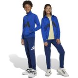 adidas - Trainingspak - Royal Blue/Black - 100% Polyester - 2-delig