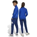 adidas - Trainingspak - Royal Blue/Black - 100% Polyester - 2-delig