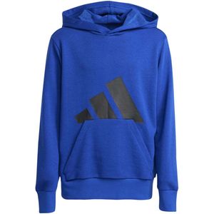 ADIDAS SPORTSWEAR - Hoodie - Blauw - Molton materiaal