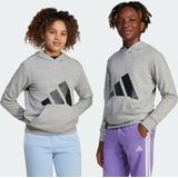 Adidas - Essentials Big Logo Hoodie - Sweatshirt - Grijs - 55% Katoen, 36% Polyester, 9% Viscose