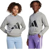 Adidas - Essentials Big Logo Hoodie - Sweatshirt - Grijs - 55% Katoen, 36% Polyester, 9% Viscose