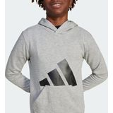 Adidas - Essentials Big Logo Hoodie - Sweatshirt - Grijs - 55% Katoen, 36% Polyester, 9% Viscose