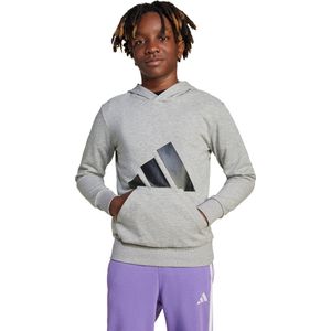 Adidas - Essentials Big Logo Hoodie - Sweatshirt - Grijs - 55% Katoen, 36% Polyester, 9% Viscose