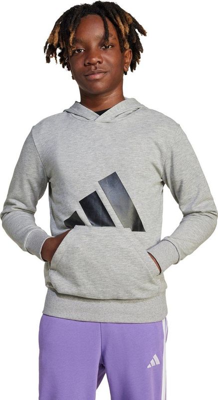 Adidas - Essentials Big Logo Hoodie - Sweatshirt - Grijs - 55% Katoen, 36% Polyester, 9% Viscose