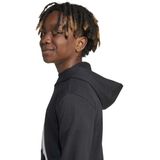 Adidas - Essentials Big Logo Hoodie - Sweater - Grijs - Katoen/Polyester