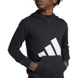 Adidas - Essentials Big Logo Hoodie - Sweater - Grijs - Katoen/Polyester