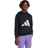 Adidas - Essentials Big Logo Hoodie - Sweater - Grijs - Katoen/Polyester