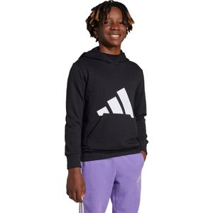 Adidas - Essentials Big Logo Hoodie - Sweater - Grijs - Katoen/Polyester