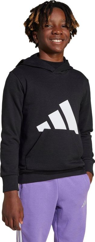 Adidas - Essentials Big Logo Hoodie - Sweater - Grijs - Katoen/Polyester