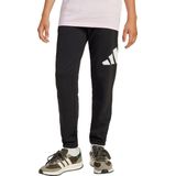 adidas - Sportbroeken - Zwart - Katoen/Polyester - Normale Pasvorm