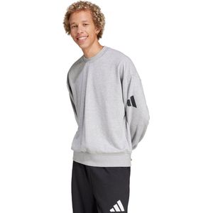 adidas Sportswear Essentials Loose Fit 3 Bar Logo Sweatshirt - Heren - Grijs